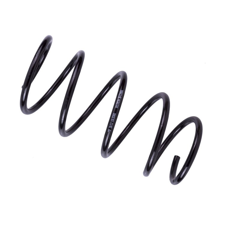 36-129041 B3 OE Replacement Coil Spring Fits Select BMW