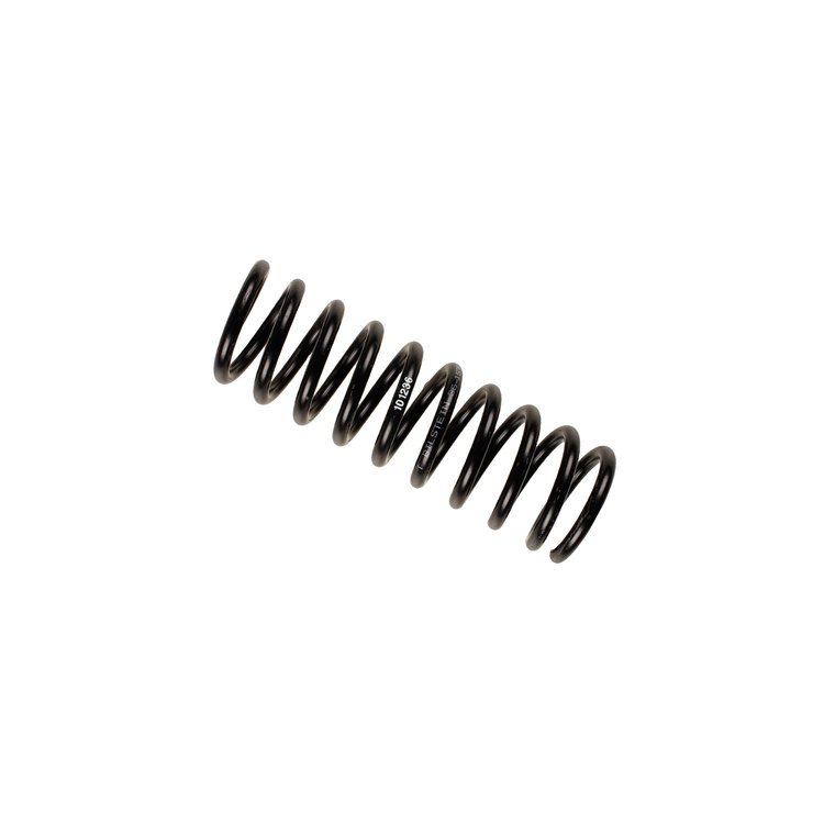 36-153923 B3 OE Replacement Coil Spring; 1994-1995 BMW 530i; Rear