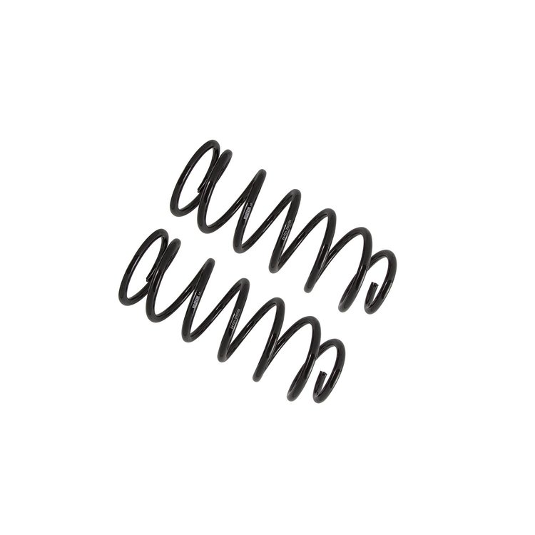 36-281824 B12 (Special) Coil Spring Set; 2010-2023 Lexus GX460, 2003-2024 Toyota 4Runner, 2007-2014 FJ Cruiser