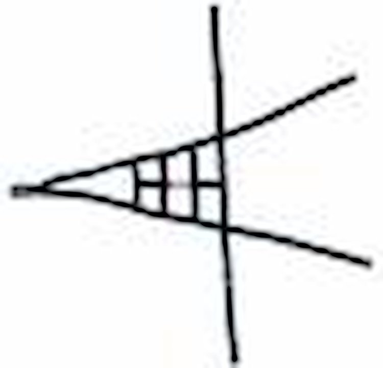 Ribbon ROLL CAGE Net 4 Point NON-SFI BLACK