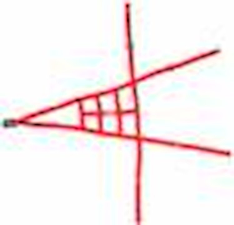 Ribbon ROLL CAGE Net 4 Point NON-SFI RED