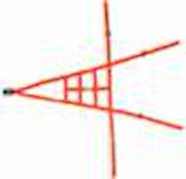 Ribbon ROLL CAGE Net 4 Point NON-SFI ORANGE