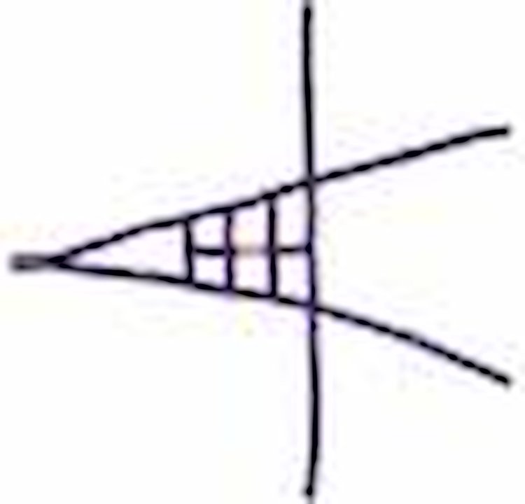 Ribbon ROLL CAGE Net 4 Point NON-SFI PURPLE
