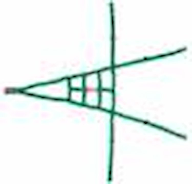 Ribbon ROLL CAGE Net 4 Point NON-SFI GREEN