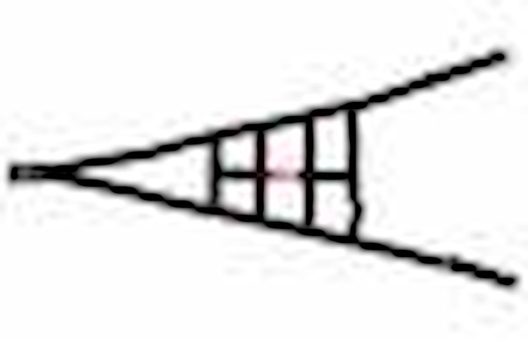 Ribbon ROLL CAGE Net 2 Point NON-SFI BLACK