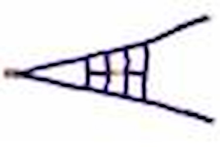 Ribbon ROLL CAGE Net 2 Point NON-SFI PURPLE