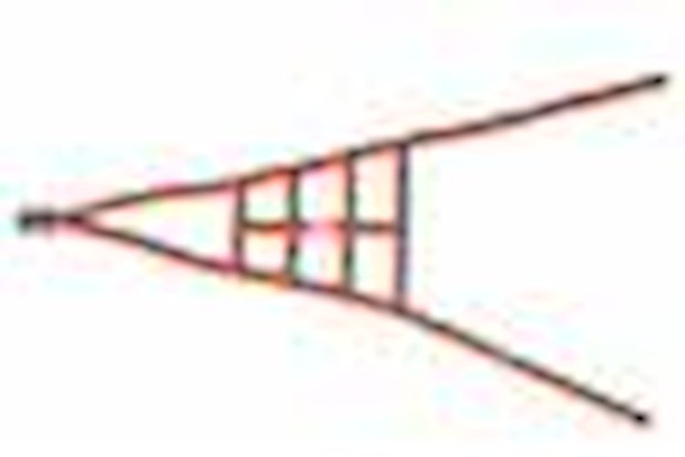 Ribbon ROLL CAGE Net 2 Point NON-SFI STRIPES