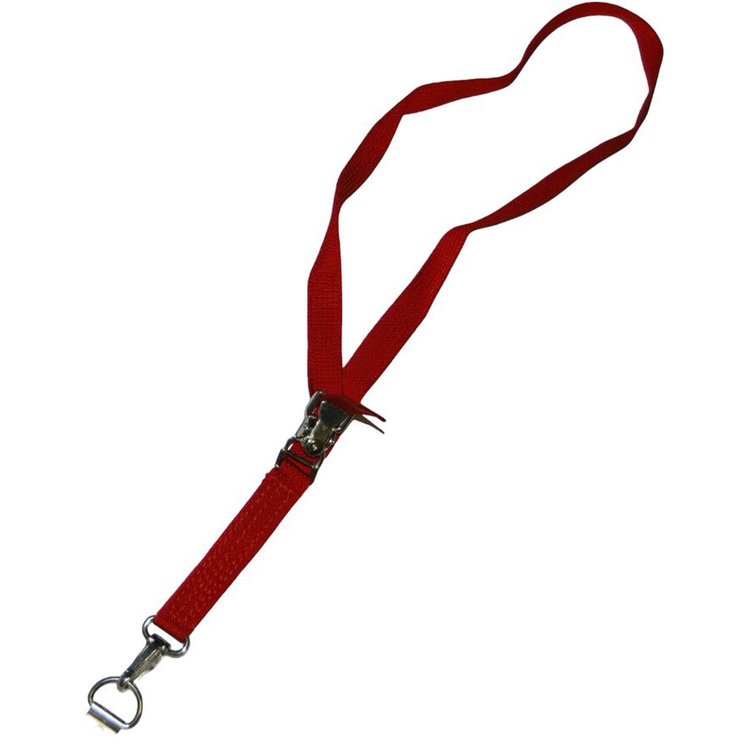 RJS Red Helmet Restraint Strap