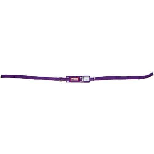 ARM RESTRAINT-PAIR-PURPLE