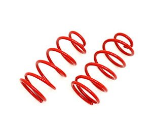Lowering Springs 1964-1966 GM A-Body