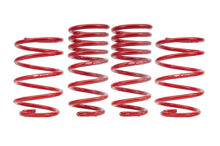 LOWERING SPRING KIT G8 RD