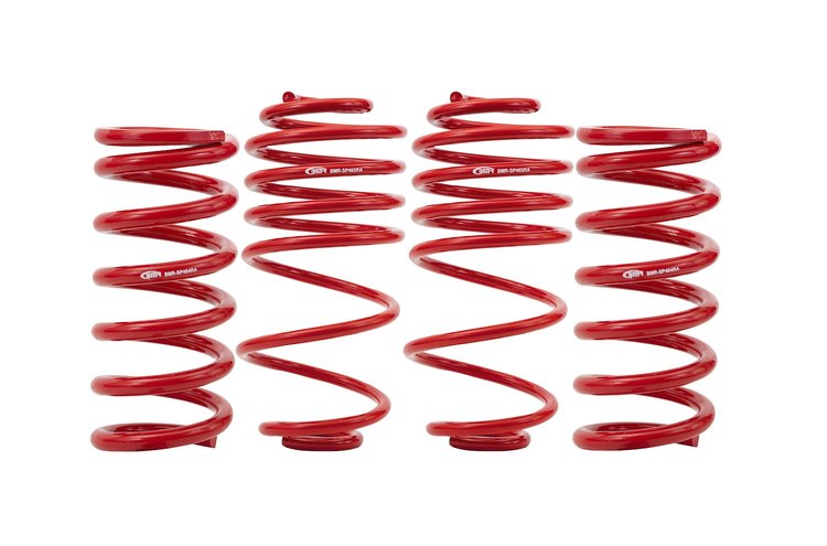 LOWERING SPRINGS SET