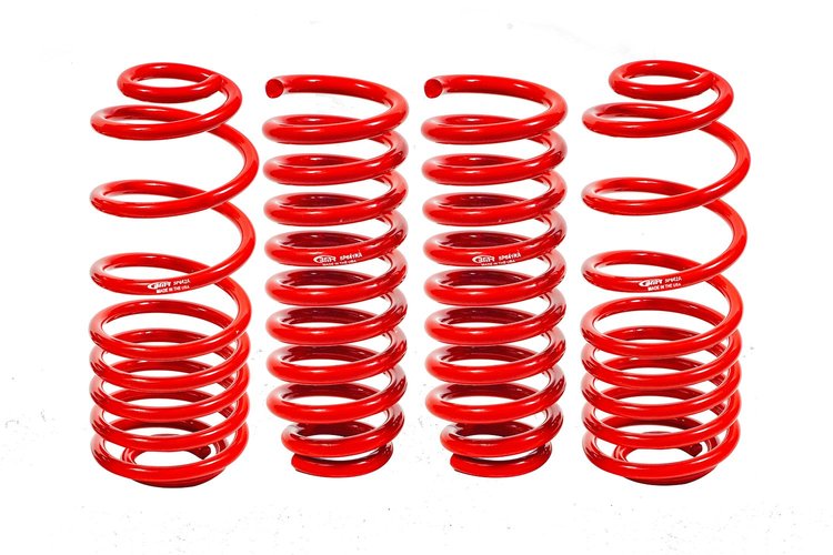 LOWERING SPRING KIT TB RD