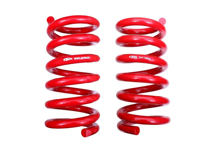 LOWERING SPRINGS REAR
