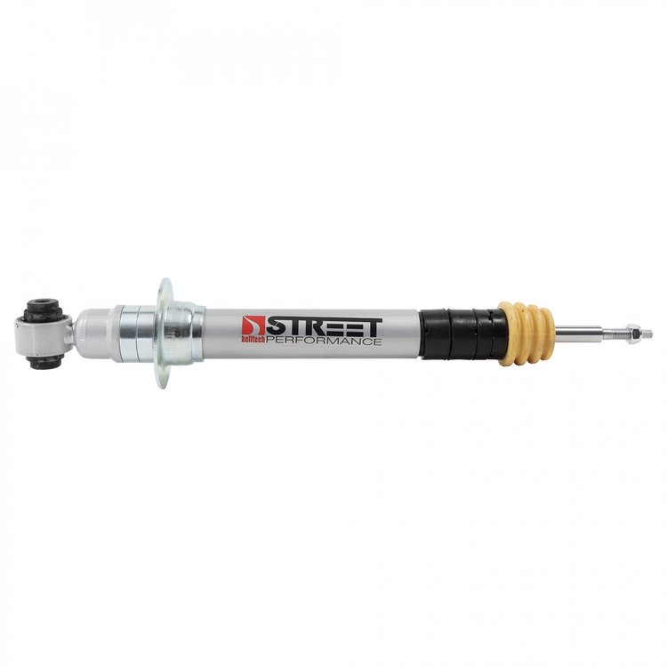 SP LOWERING STRUT