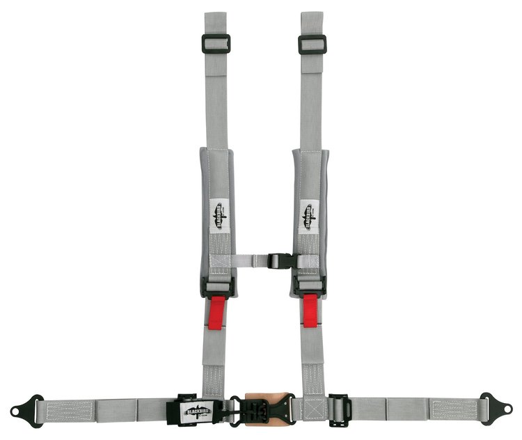 30166 Latch and Link Harness [4-Point, 2 x 2 in Belts, 40 in Length, Pull-Down, Individual, Pads, Plastic Sternum Buckle]
