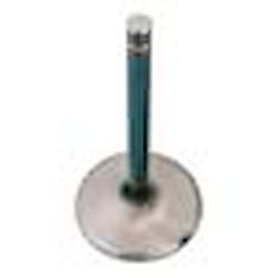 INTAKE VALVE
