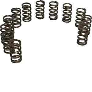 Valve Springs 99.5-02 24 Valve