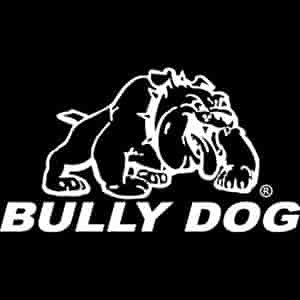 Window Decal 10" x 6"