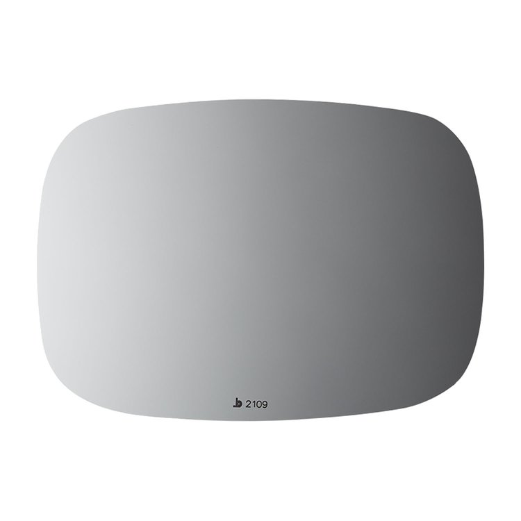 2109 SIDE VIEW MIRROR