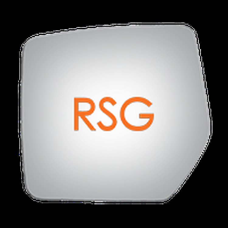 4290RSG SIDE VIEW ASSEMBLY