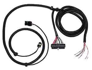 CCCI Ignition Harness 1986/1987