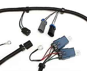 Euro Tail Light Harness Corvette