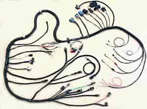 Custom Engine Harness