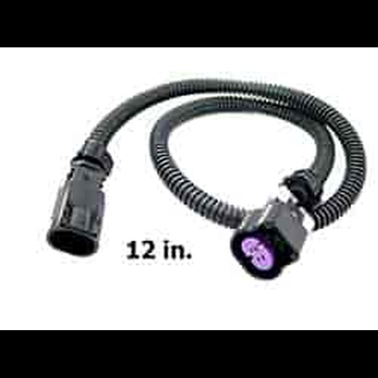 O2 Extension 12 IN. GT Series 2 Wire