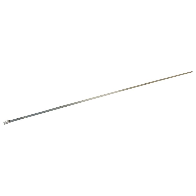 *Stainless Locking Ties 1