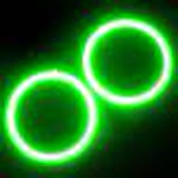 1145-004 LED Fog Halo Kit, Green