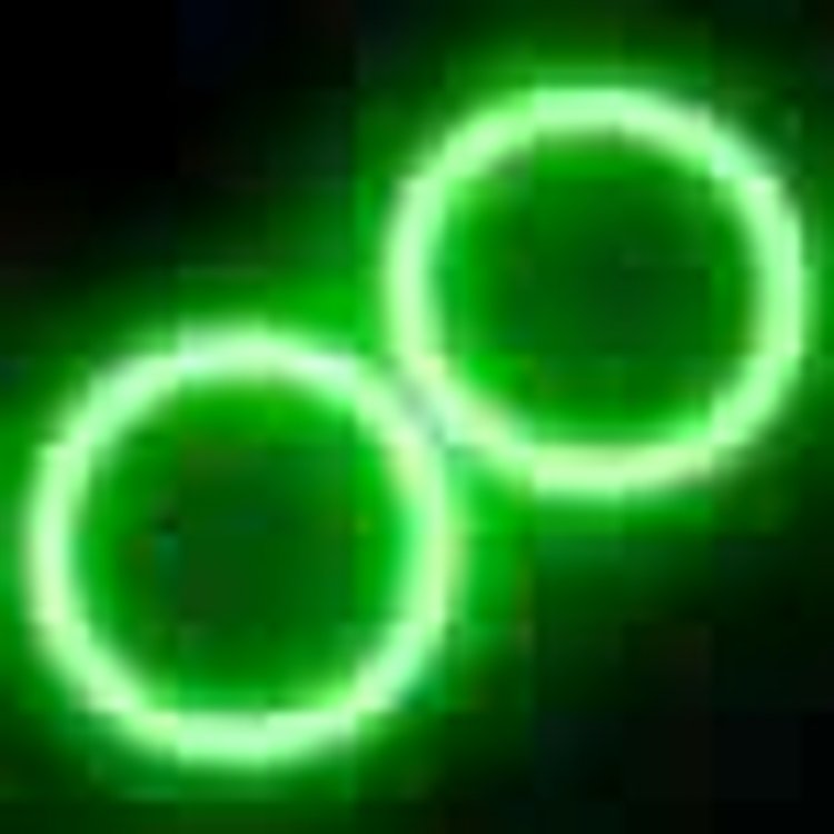 Ultima GTR LED Halo Kit