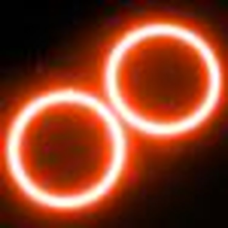 Ultima GTR LED Halo Kit