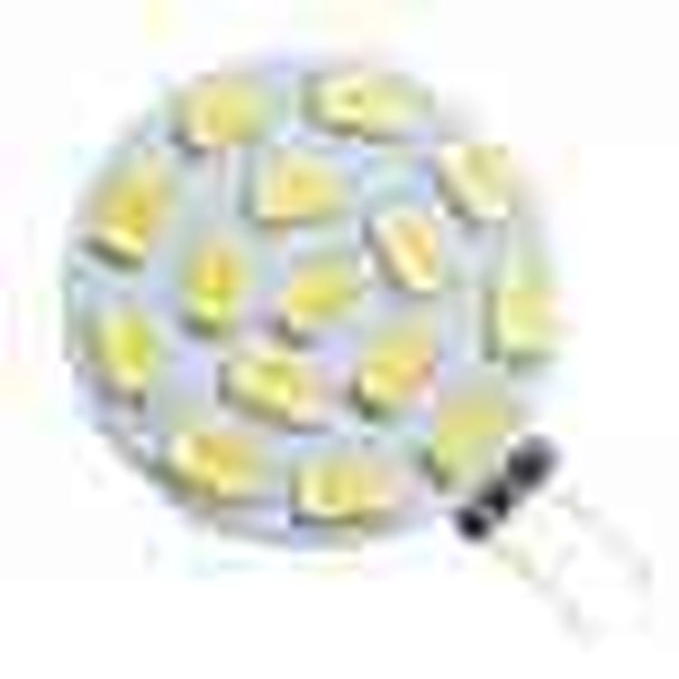 LED BULBS