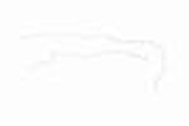 Chevy / GMC Blazer Fuel Vapor Line -1981 1982 1983 1984 1985 1986