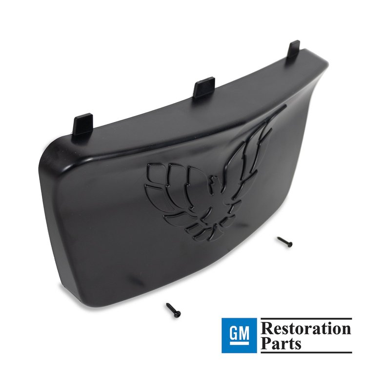 HT10276353 Front Bumper License Plate Filler Panel, 1998-2002 Pontiac Firebird/Formula/Trans AM/Firehawk