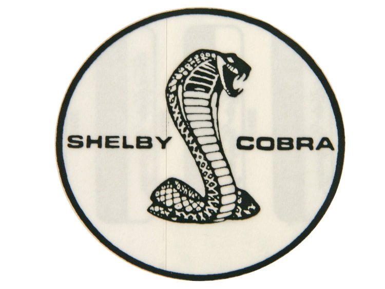 SHELBY SHOCK DECAL