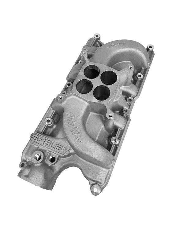 SHELBY REP. INTAKE