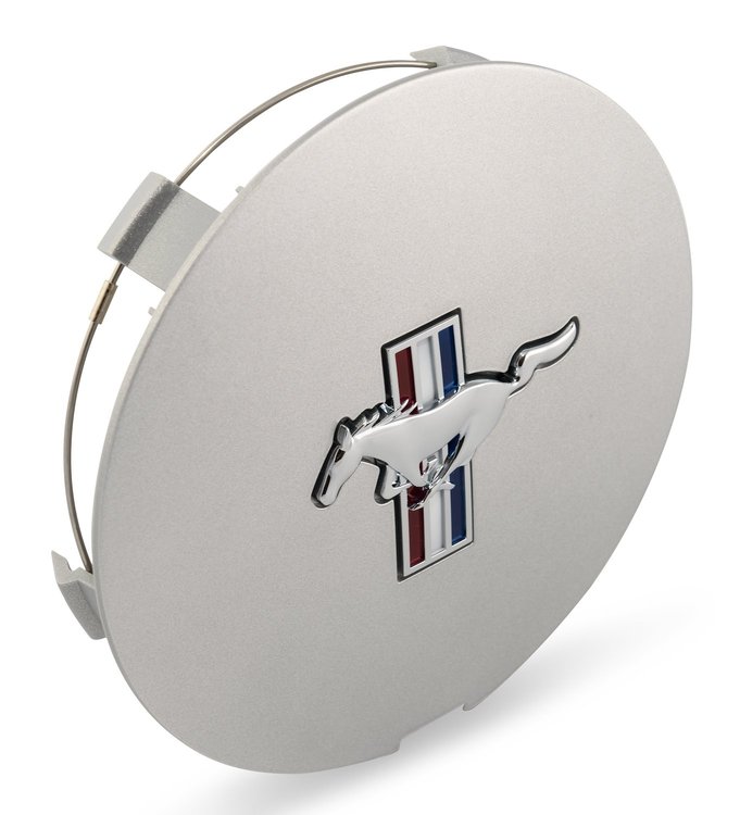 Center Hub Cap