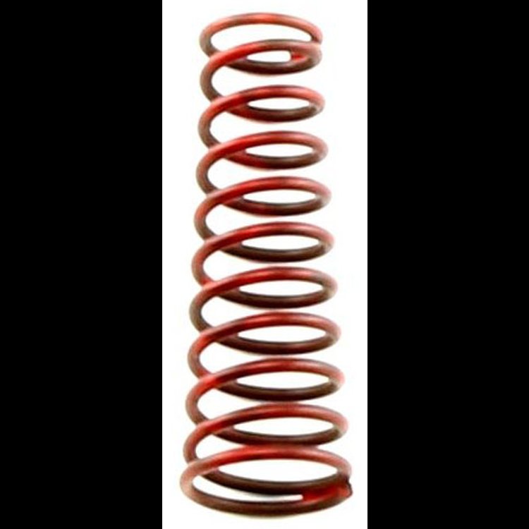 Pressure Regulator Spring TH350