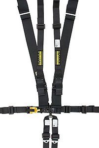 LatchLink II 6-Point Harness 2"/3" Hans Double Shoulder Belt