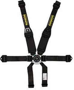 Profi II 6-Point Harness 2"/3" Hans Shoulder Belt