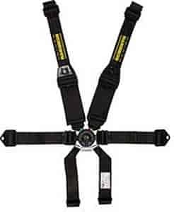 Profi II 6-Point Harness 2"/3" Double Hans Shoulder Belt