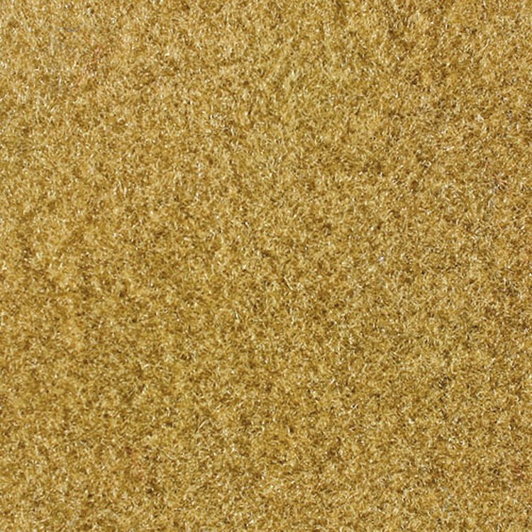 Molded Cut Pile Carpet 1975-81 GM F-Body