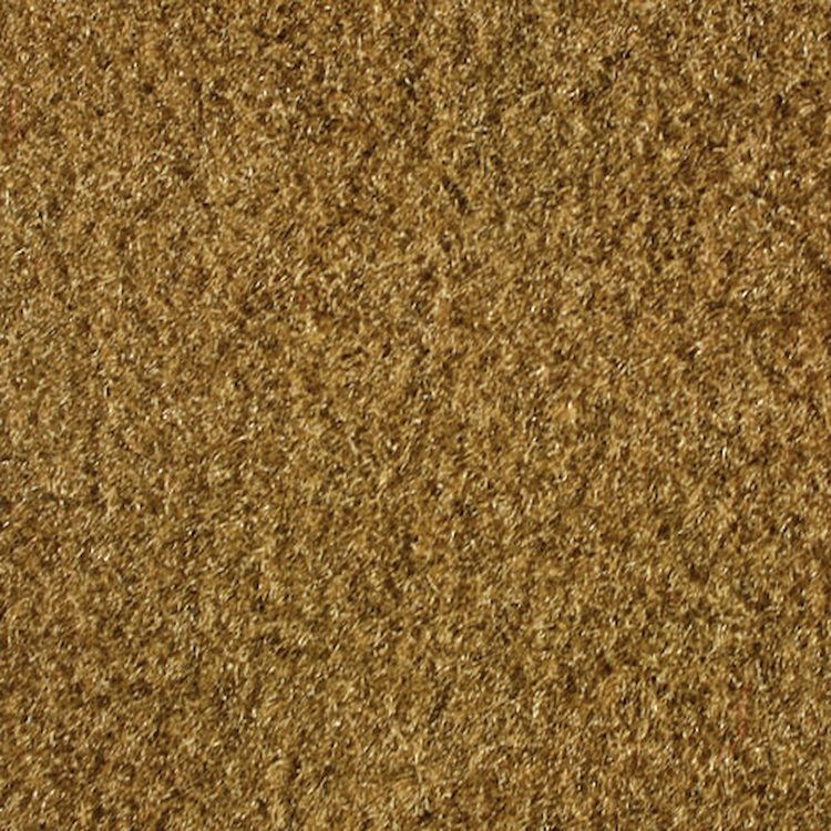 Molded Cut Pile Carpet 1975-81 GM F-Body
