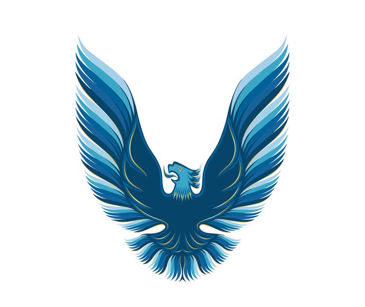 HOOD BIRD VINYL