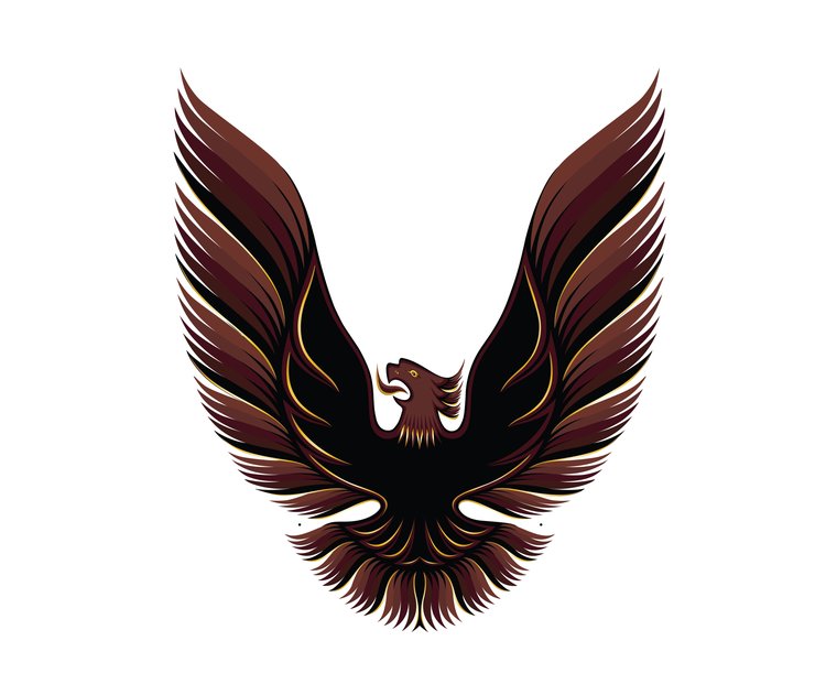 HOOD BIRD VINYL