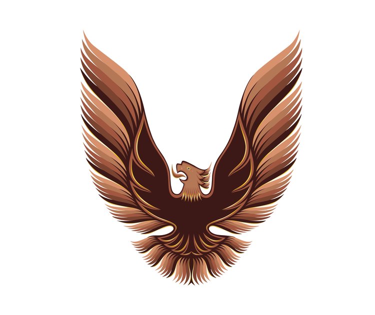 HOOD BIRD VINYL