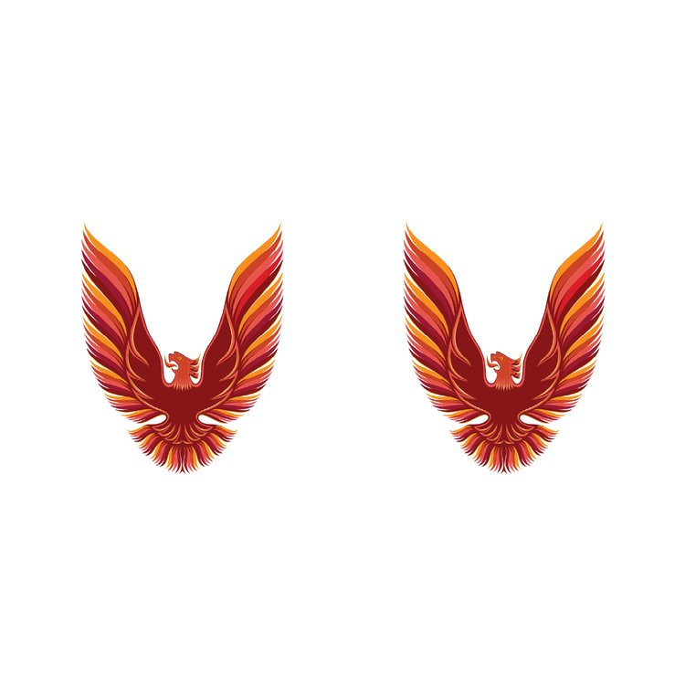 SAIL BIRD DECAL