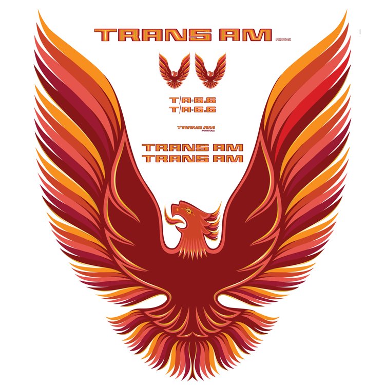 TRANS AM VINYL KIT